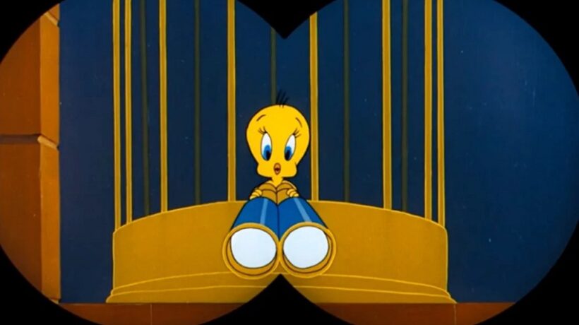 Is Tweety A Boy or a Girl? Unraveling the Mystery of a Beloved Cartoon Character